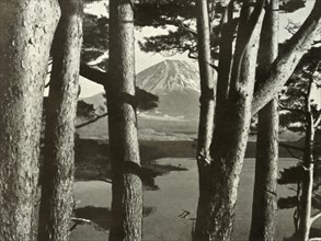 Fuji and the Pine Trees', 1910.