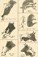 Shadow Pictures and Silhouettes', 1883.