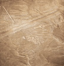 Hands, Nazca Lines, Ica, Peru, 2015.