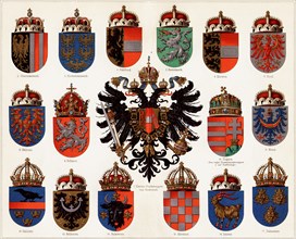 Coats of arms of Counties of Austria-Hungary and small Austrian national coat of arms, c. 1907.