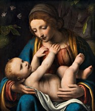 Madonna and Child, 1515-1523.