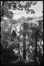 Causey Arch, Causey Road, Stanley, County Durham, c1955-c1980