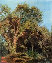 Tree in the Park', mid 19th century, (1965).