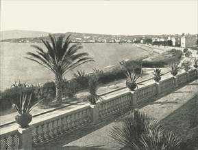 The panorama of La Croisette, Cannes, France, 1895.