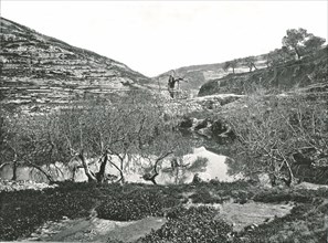 The Pool of Siloam, Jerusalem, Palestine, 1895.