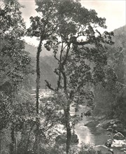 View of the Kelani River, Kurunegala, Ceylon, 1895.