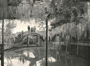 The Shinji-No-Ike Pond and wisteria', Kameido, Tokyo, Japan, 1895.