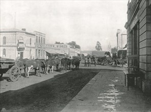 Street scene, Pretoria, South Africa, 1895.