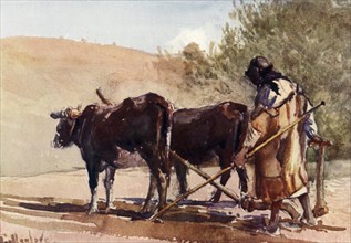 Ploughing on the Mount of Olives', 1902.