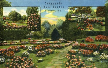 Sunnyside Rose Garden, Charlotte, N.C.', 1942.