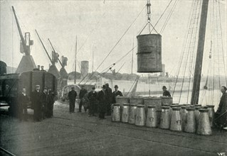 French Milk Being Landed at Southampton', 1902.