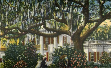 A Mansion in the Carolinas', 1942.