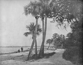 Indian River, Florida', c1897.