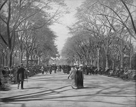 The Mall, Central Park, New York', c1897.
