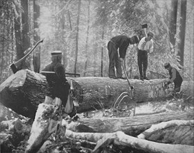 Lumbering on the Ottawa River, Canada', c1897.