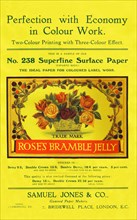 Perfection with Economy in Colour Work - Samuel Jones & Co., Ltd advertisement', 1909.