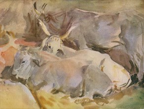 Oxen at Siena', c1910, (1936).
