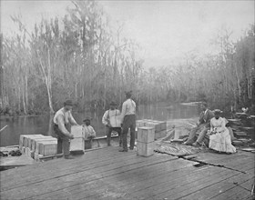 Loading Oranges on the Ocklawaha River, Florida', c1897.