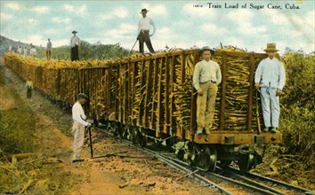 Train Load of Sugar Cane, Cuba', c1910s.