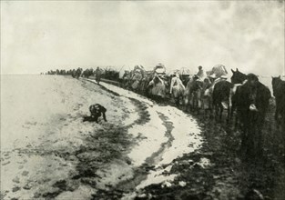 The Great Serbian Retreat', (1919).