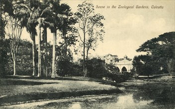 Scene in the Zoological Gardens, Calcutta'.