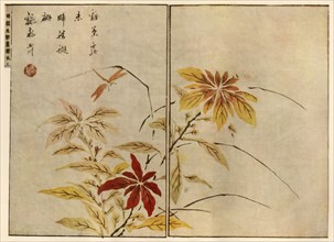 Dragonfly with plants, 1746, (1924).