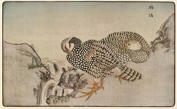 Pheasants, 1789, (1924).