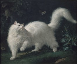 Angora cat chasing a butterfly, ca 1760.