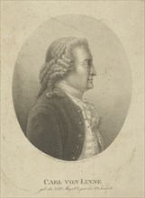 Portrait of Carl Linnaeus (1707-1778), c. 1800.