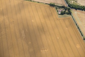 Site of a probable barrow cemetery, Kent, 2017