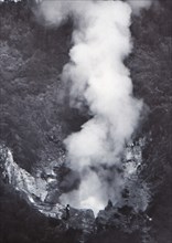 Great Wairakei Geyser', late 19th-early 20th century.