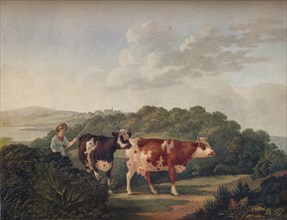 English Landscape, with Shorthorned Cattle', late 18th-early 19th century, (1930).
