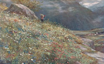 An Alpine Meadow', late 19th-early 20th century.