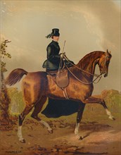 A Ladies Horse - The Property of the Late Earl of Pembroke', c1840s, (c1879).