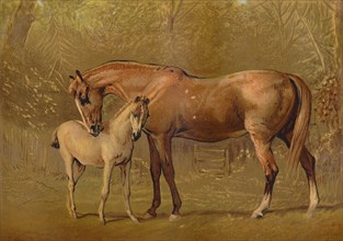 Thoroughbred Mare & Foal', c1879.