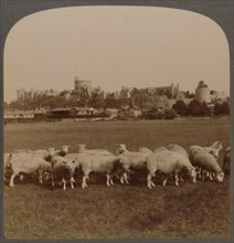 General View Windsor Castle, England', 1896