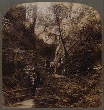 Shanklin Chine of World-wide fame, Isle of Wight, England', c1910