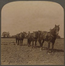 Farming in England - Harrowing the Land', 1909