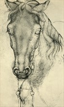 Head of a horse, c1420-1455, (1943).