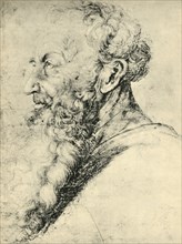 Portrait of Guido Guersi, 1513-1515, (1943).