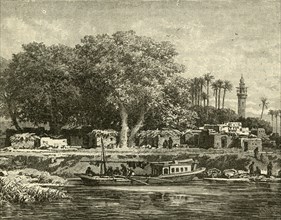 View on the Delta of the Nile', 1890.