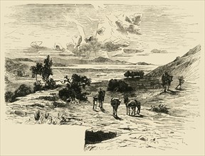 Plain of Marathon', 1890.