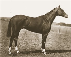 Weathercock,1911