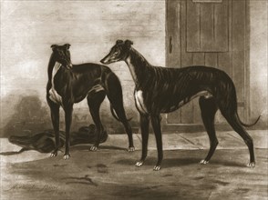 Simonian and Fullerton, c1891