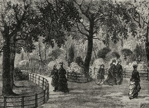 'The Flower Walks, Kensington Gardens'