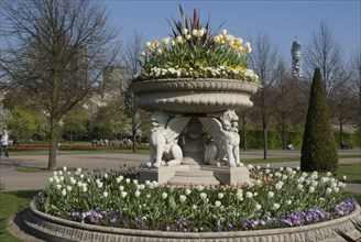 Regent's Park - Springtime floral displays in Regent's Park, London