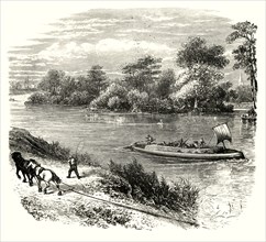 'Magna Charta Island',1890