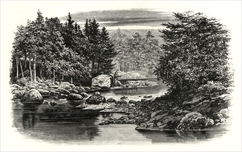 'River Scene, Langdale'