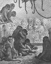'Zoological Gardens - The Monkey House', 1872.   Creator: Gustave Doré.