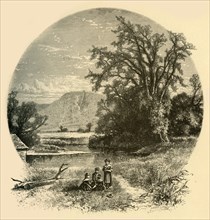 'Northampton Meadows', 1874.  Creator: Meeder & Chubb.